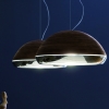 Ray